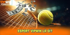 Esport Vipwin là gì?