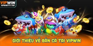 Giới Thiệu Về Bắn Cá Tại Vipwin