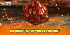 Cá cược tại Vipwin bị lag giật: Nguyên nhân và cách khắc phục