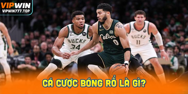 Cá cược bóng Rổ là gì? Cùng Vipwin tìm hiểu quy tắc & các kèo cược