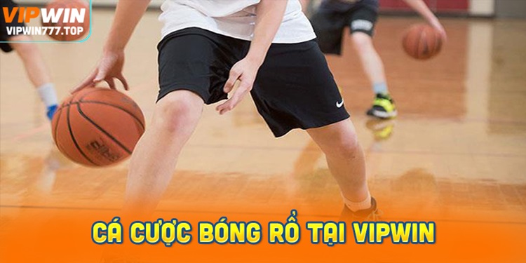 Cá cược bóng rổ tại Vipwin: 3 bước cơ bản