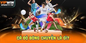 Cá Độ Bóng Chuyền Là Gì?