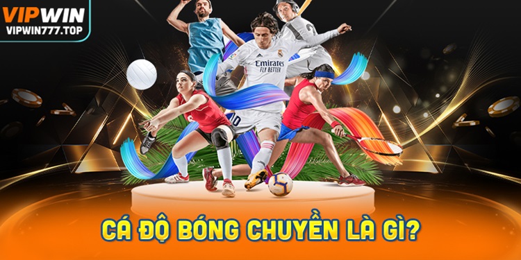 Cá độ bóng chuyền là gì? Cùng Vipwin tìm hiểu cách chơi cược đơn giản