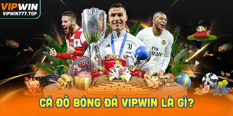 Cá độ bóng đá Vipwin là gì? Tìm hiểu ngay!