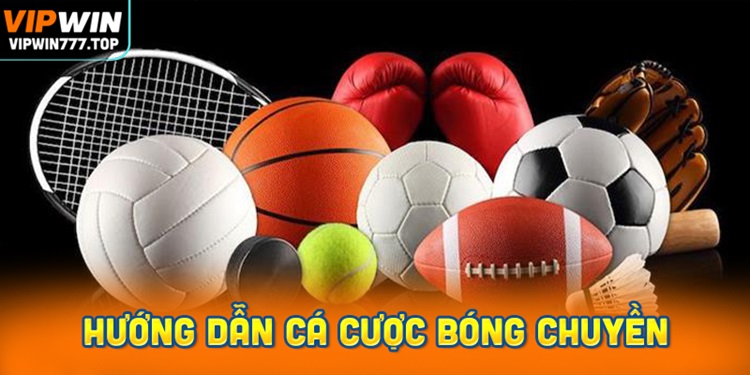 Hướng Dẫn Cá Cược Bóng Chuyền Chi Tiết tại Vipwin
