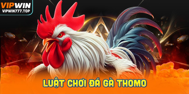 Luật Chơi Đá Gà Thomo Cơ Bản Nhất Tại Vipwin