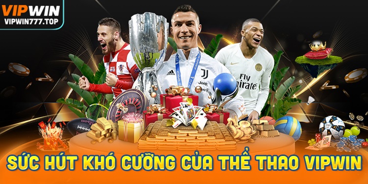 Sức hút khó cưỡng của thể thao Vipwin