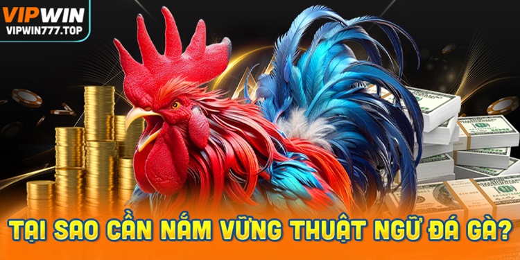 Tại Sao Người Chơi Cần Nắm Vững Thuật Ngữ Đá Gà?