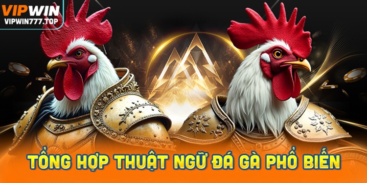 Tổng Hợp Thuật Ngữ Đá Gà Phổ Biến Nhất Tại Vipwin