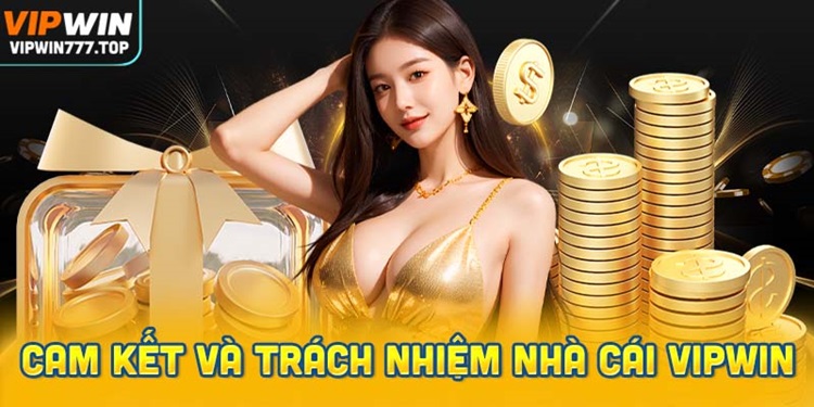 Cam kết và trách nhiệm giữa nhà cái Vipwin và người chơi